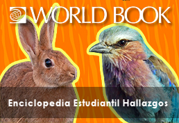 Rabbit and exotic bird with text World Book Enciclopedia Estudiantil Hallazgos